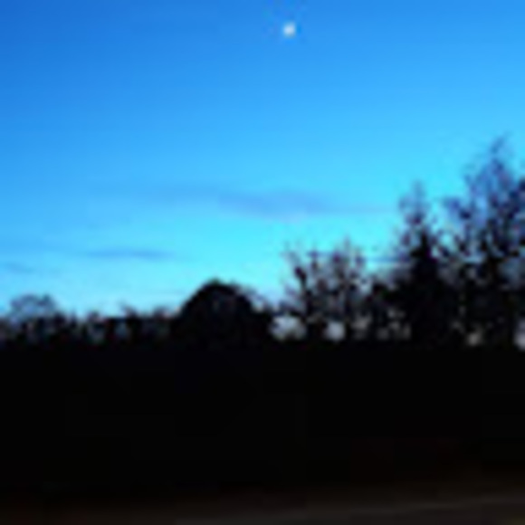 Meet your Posher, Winter - Picture 1 of 1